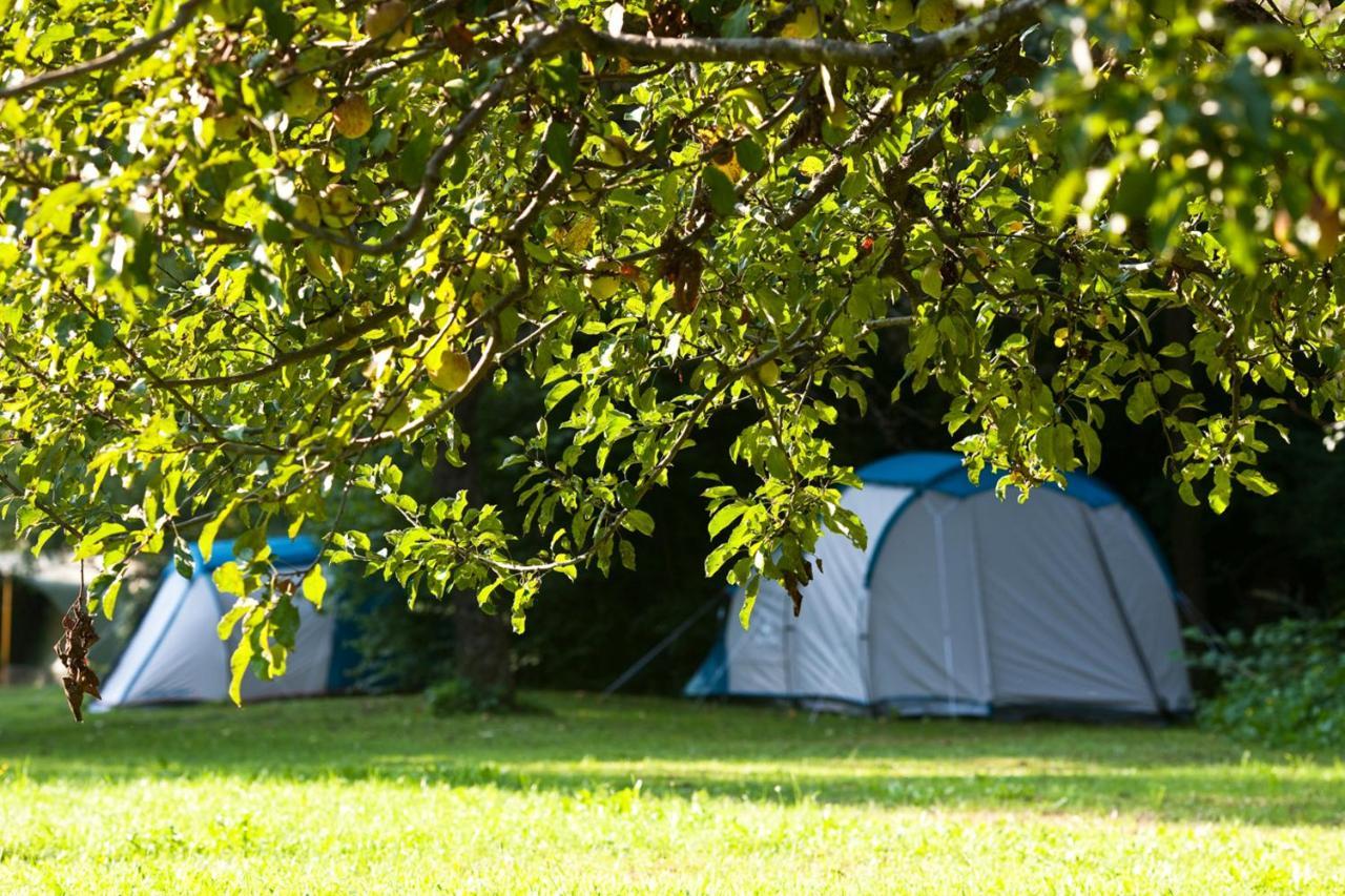 Camping Naturplac Na Skali Ljubno Exterior foto