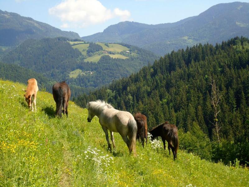 Camping Naturplac Na Skali Ljubno Exterior foto