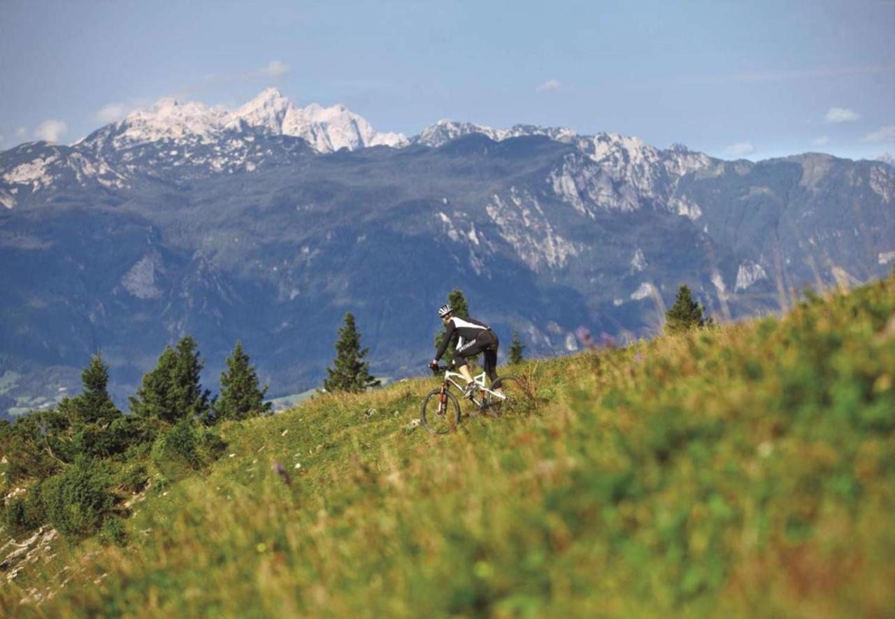 Camping Naturplac Na Skali Ljubno Exterior foto