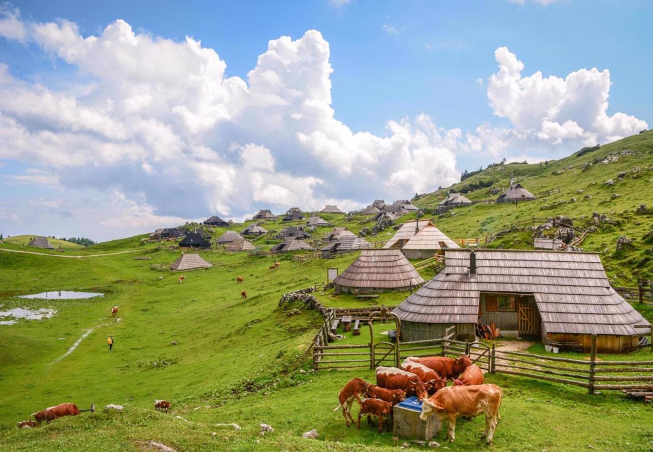 Camping Naturplac Na Skali Ljubno Exterior foto