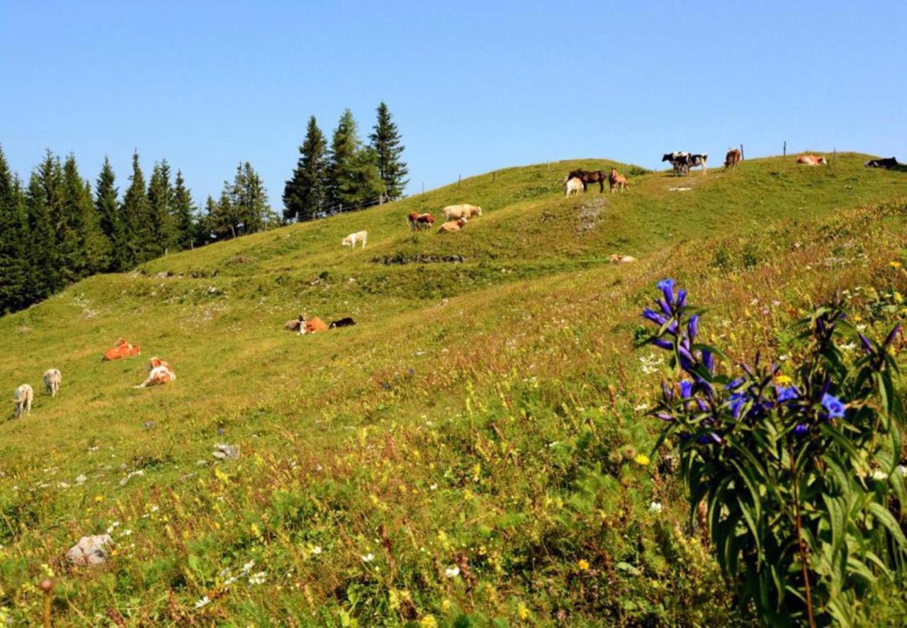 Camping Naturplac Na Skali Ljubno Exterior foto