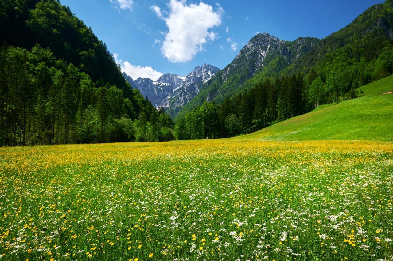 Camping Naturplac Na Skali Ljubno Exterior foto